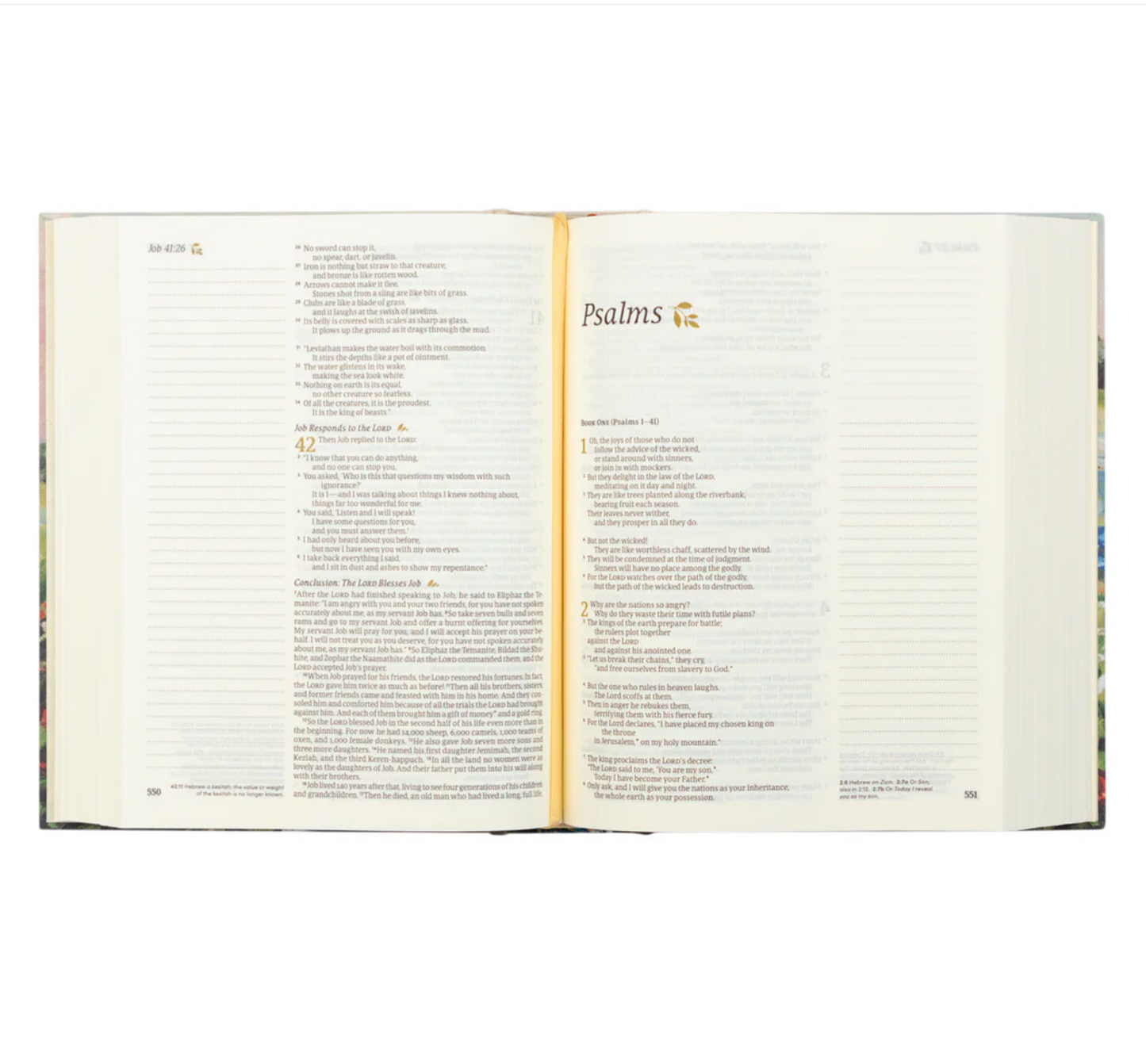 NLT Notetaking Bible : Coram Theme