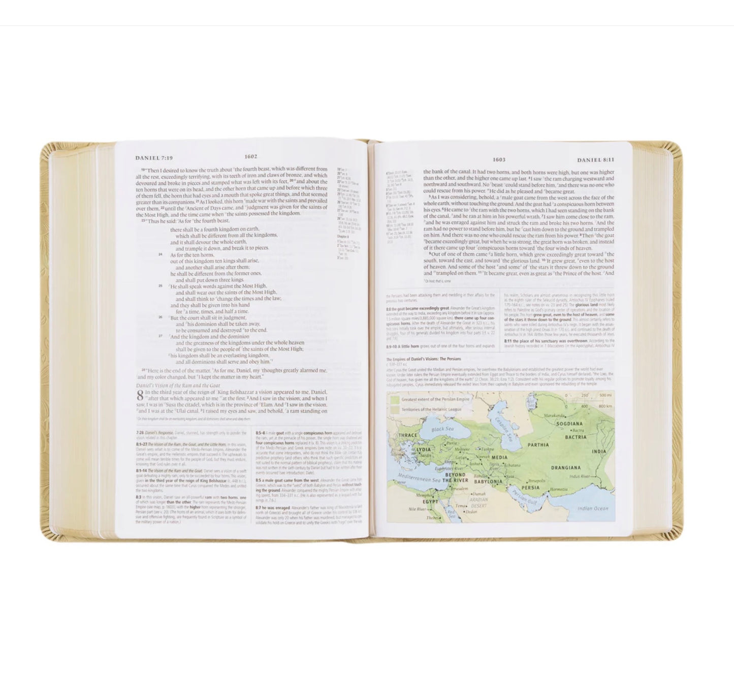 ESV Study Bible: Hosanna Revival I SONORA THEME