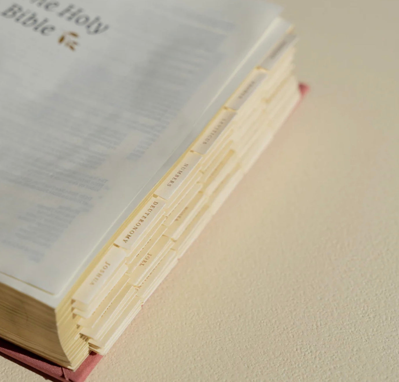 Hosanna Revival Bible Tabs: GOLD or BLACK