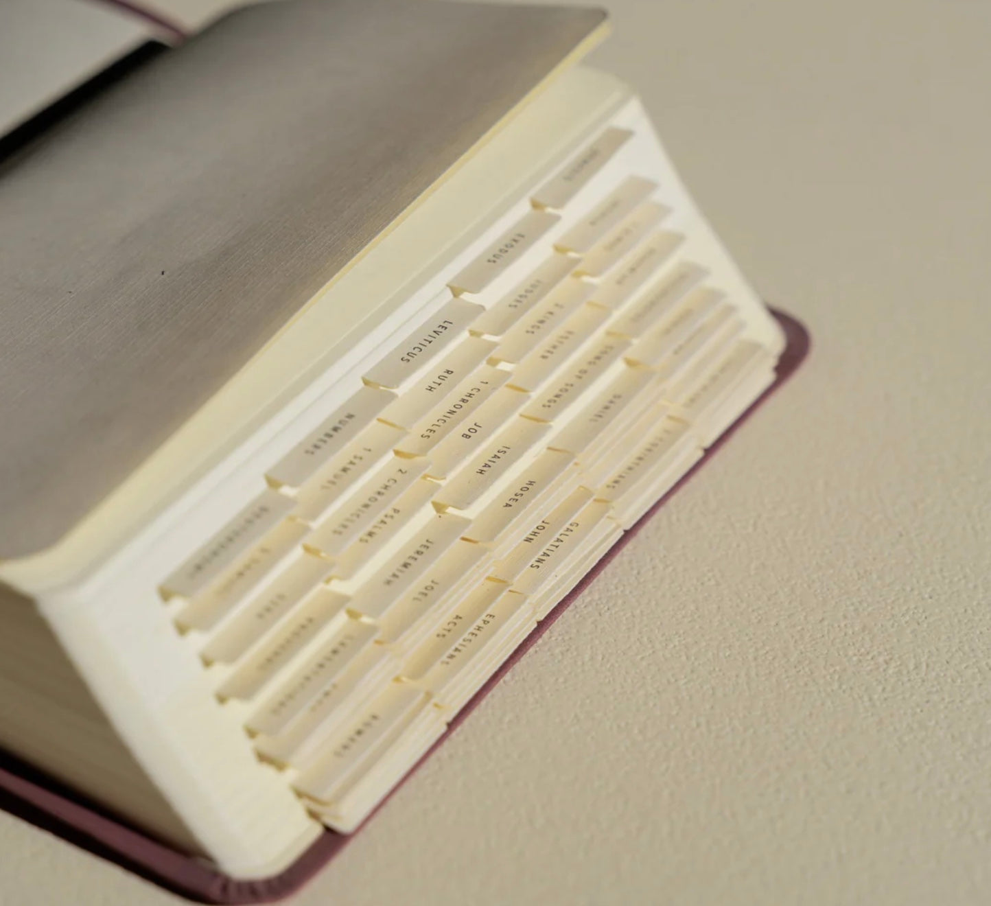 Hosanna Revival Bible Tabs: GOLD or BLACK