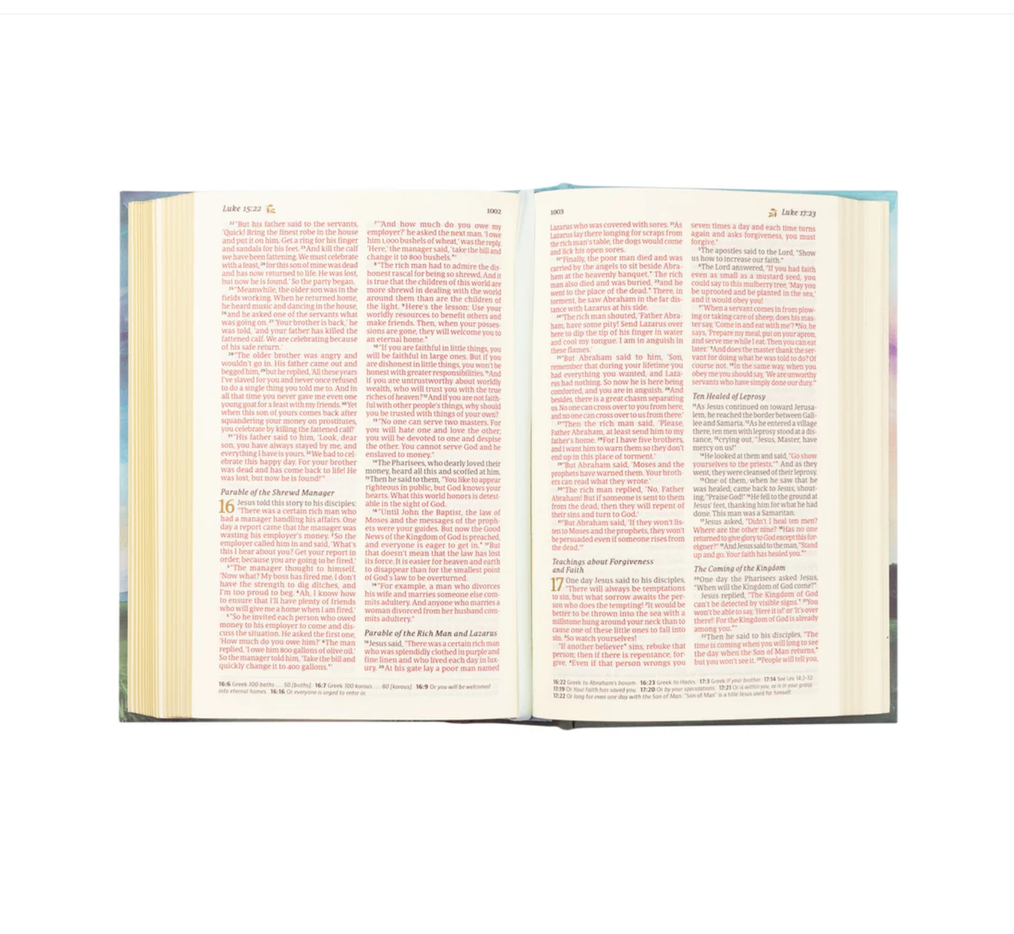 NLT Compact Bible: Prairie Theme