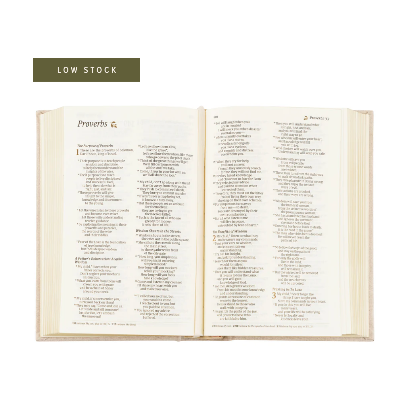 NLT Compact Bible, Hosanna Revival: Casablanca Theme