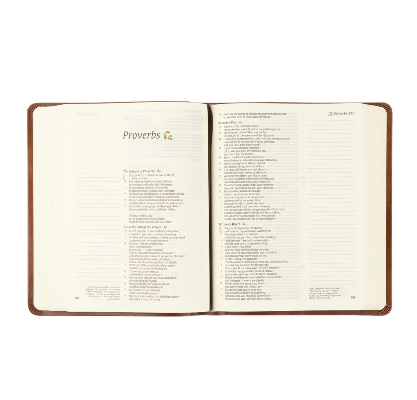 CSB Notetaking Bible:  Edinburgh Theme