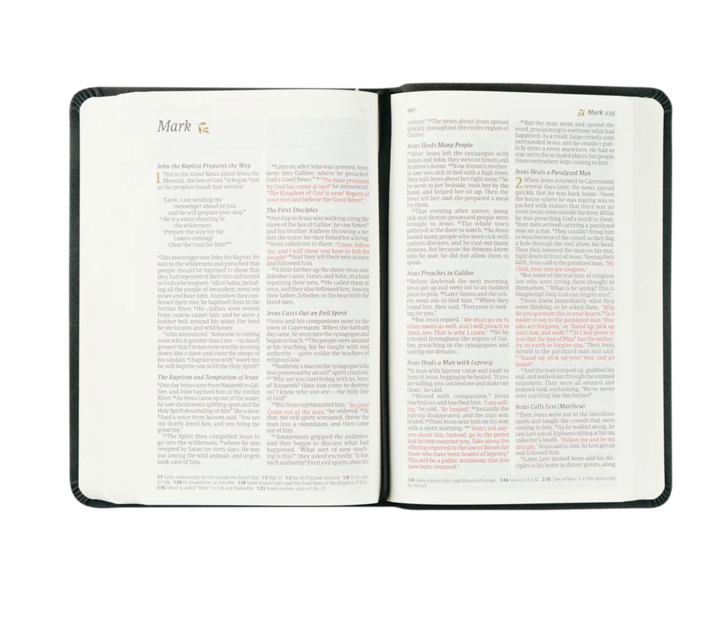 NLT Compact Bible | Hosanna Revival - Jerusalem Theme