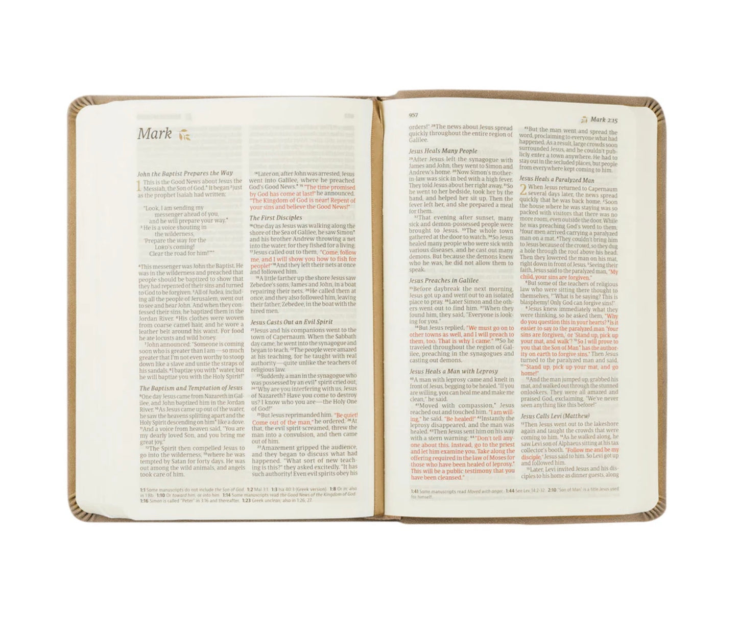 NLT Compact Bible | Hosanna Revival - Marlo Theme