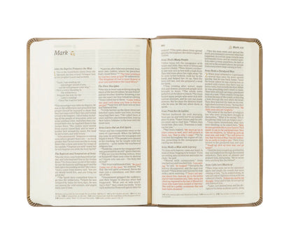 NLT Compact Bible | Hosanna Revival - Marlo Theme