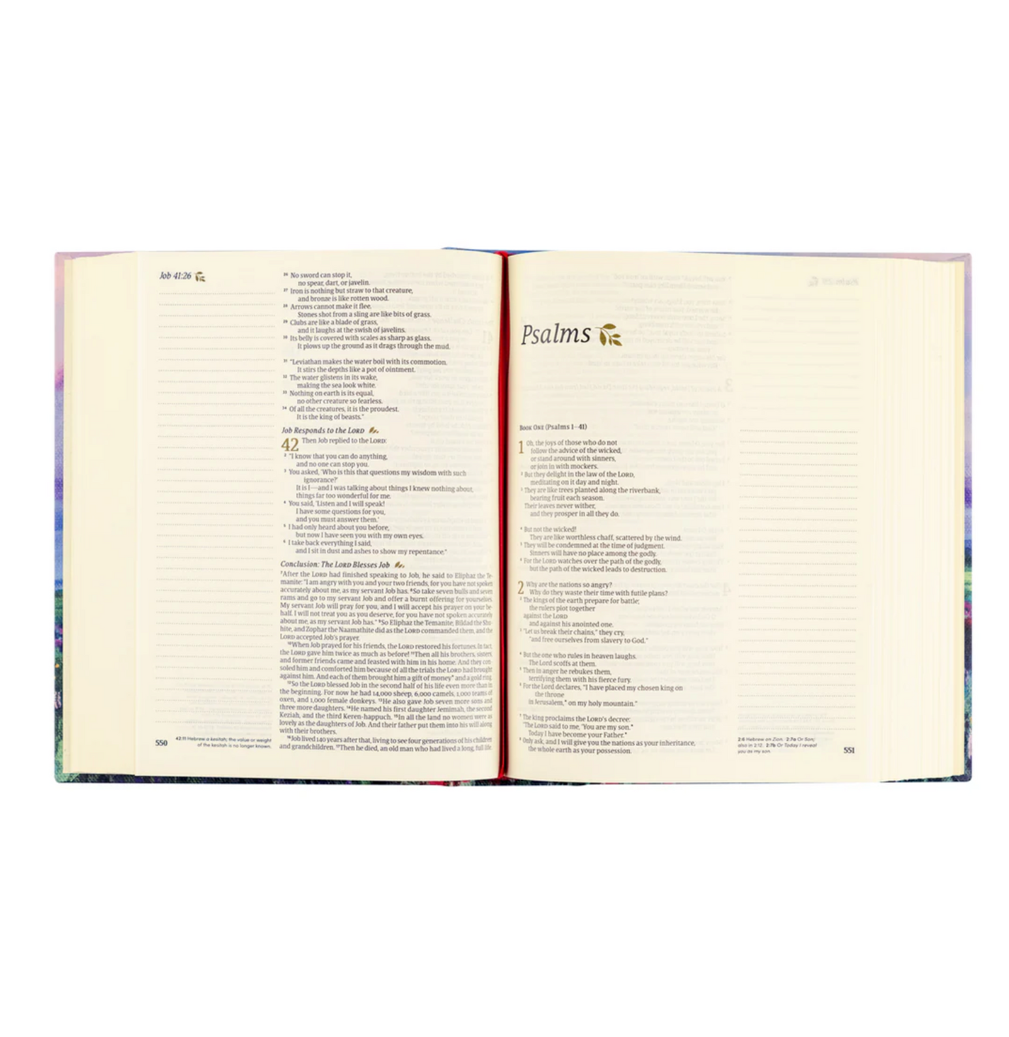 Hosanna Revival Notetaking Bible NLT: CANA THEME
