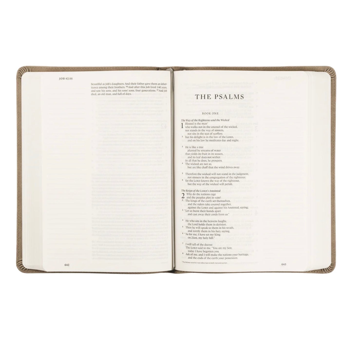 ESV Large Print Journaling Bible | Hosanna Revival - Nara Theme