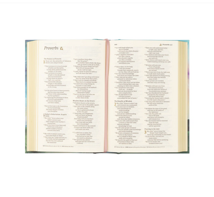 NLT Compact Bible:  Prairie Theme