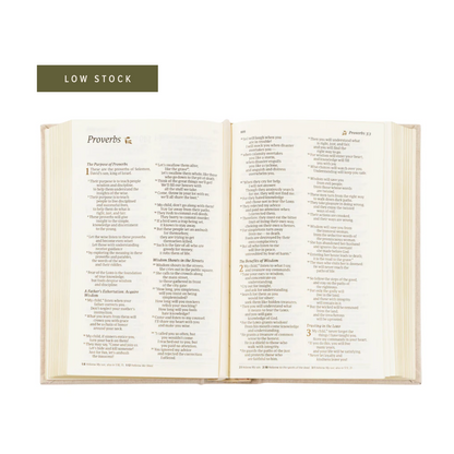 NLT Compact Bible, Hosanna Revival: Casablanca Theme